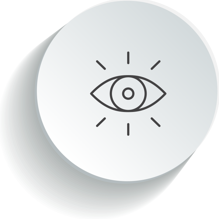 Vision
